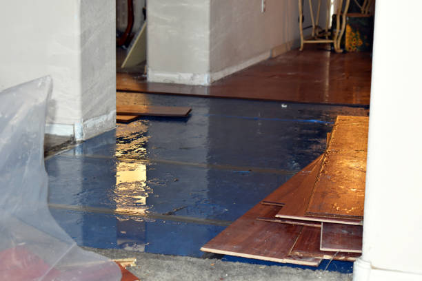 Professional Water Extraction technician working in Kinde, MI